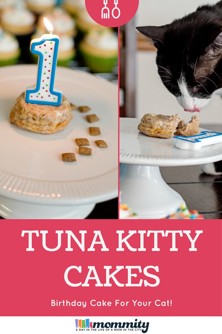 How to Make a Birthday Cake for Your Cat