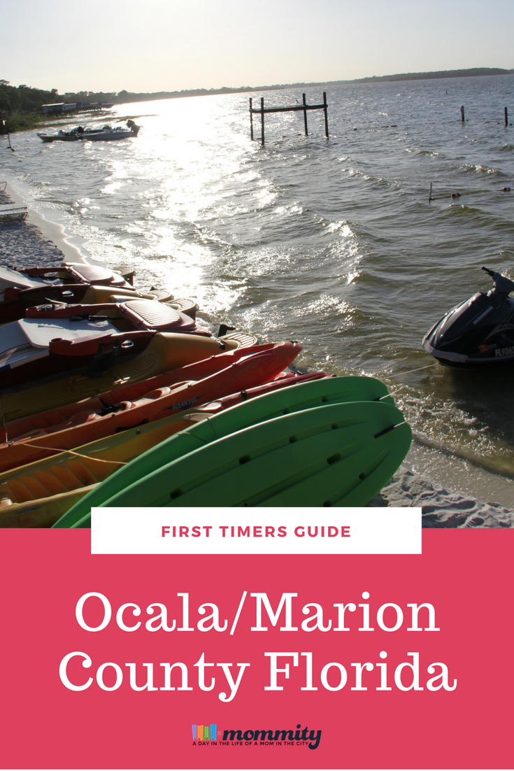 Visiting Florida on vacation and need ideas of things to do in Ocala/Marion? We've got you covered!