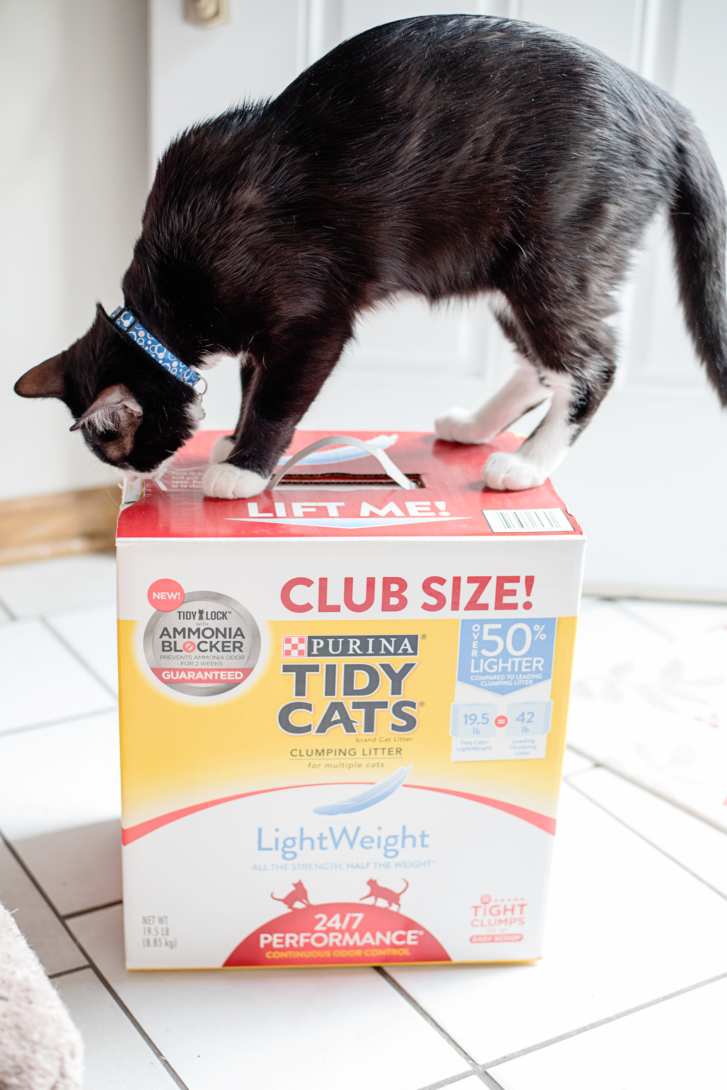 Simplify Your Cat Litter Routine with Tidy Cats Direct