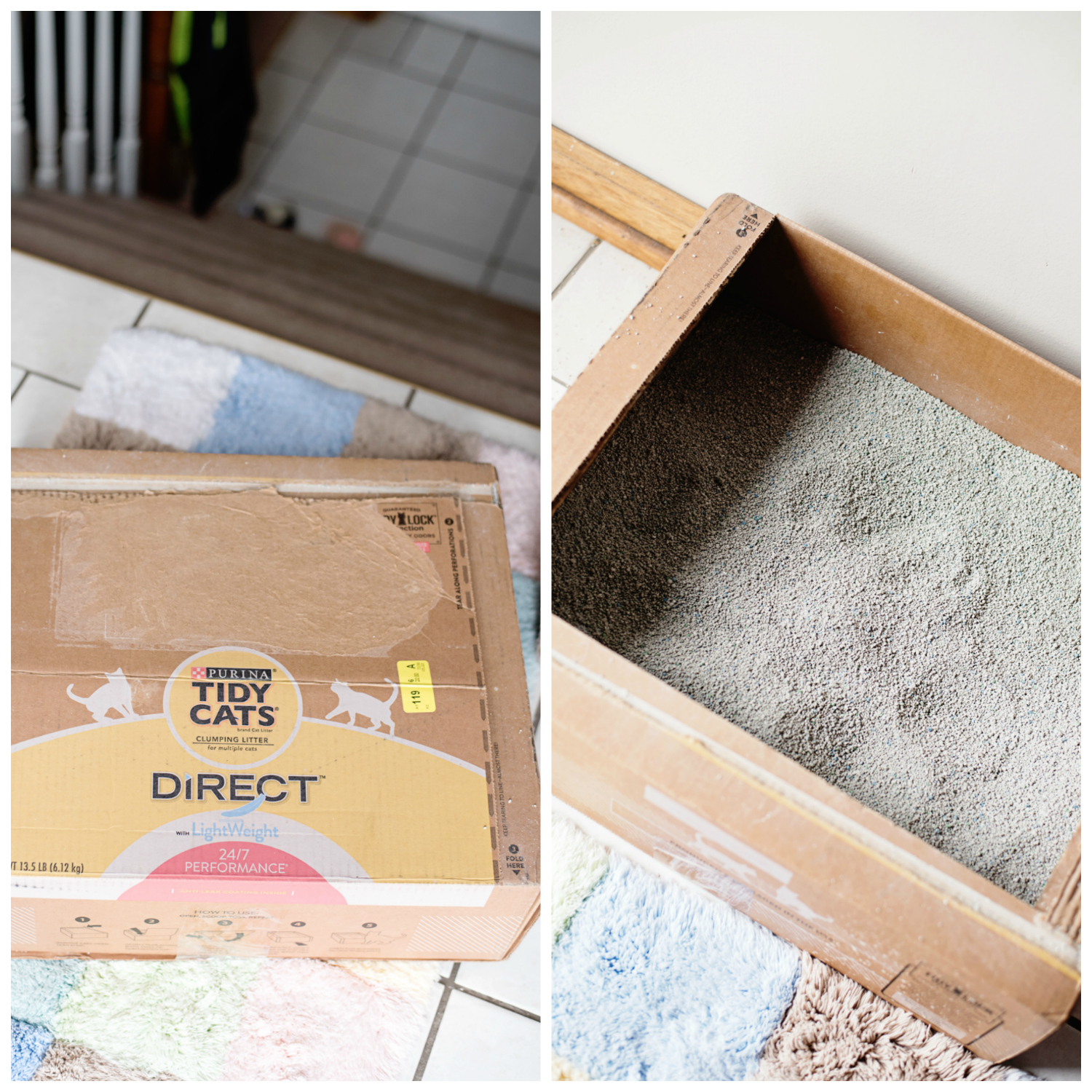 Simplify Your Cat Litter Routine with Tidy Cats Direct
